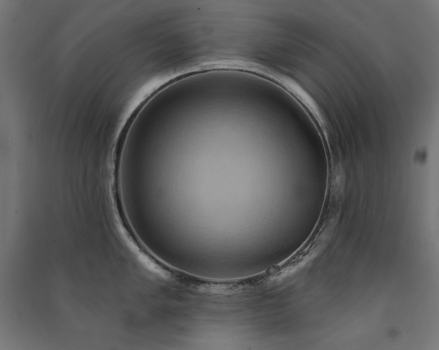 X0000091581005200708201203