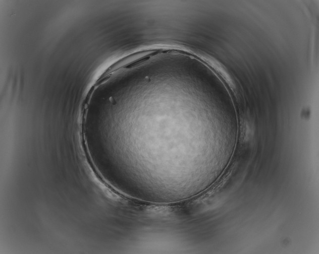 X0000091581006200708201203