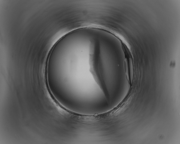 X0000091581007200708201203
