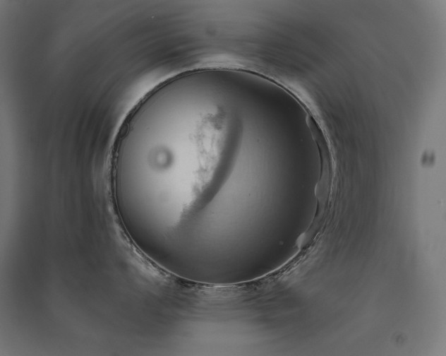 X0000091581008200708201203
