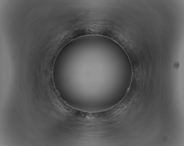 X0000091581009200708201203
