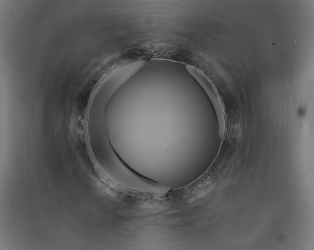 X0000091581010200708201203