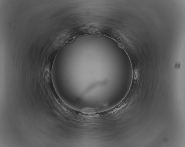 X0000091581011200708201203