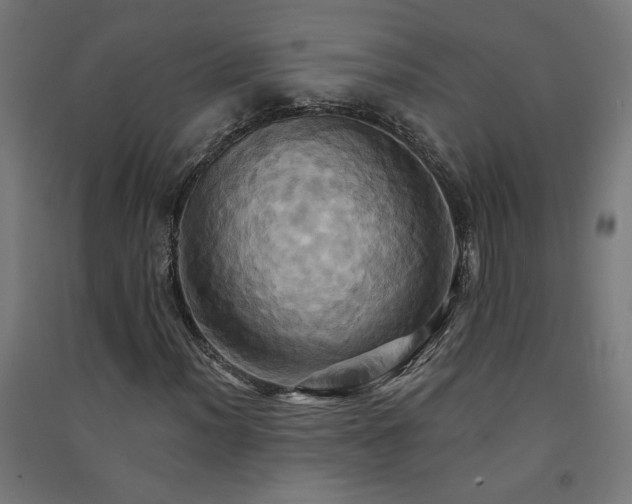 X0000091581012200708201203
