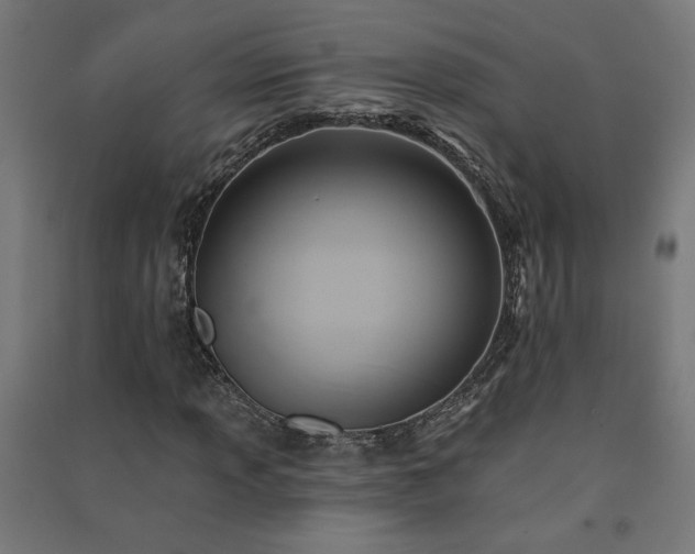 X0000091581013200708201203