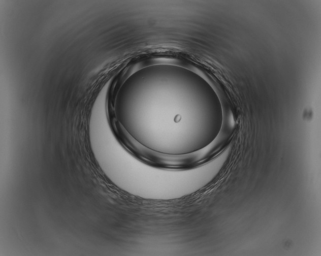 X0000091581014200708201203