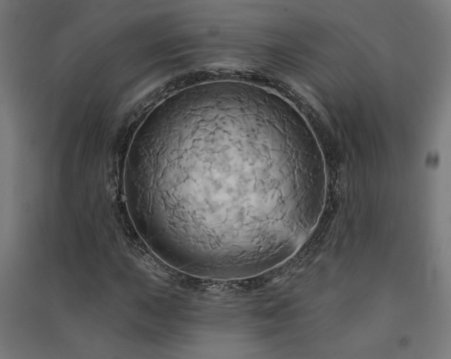 X0000091581015200708201203