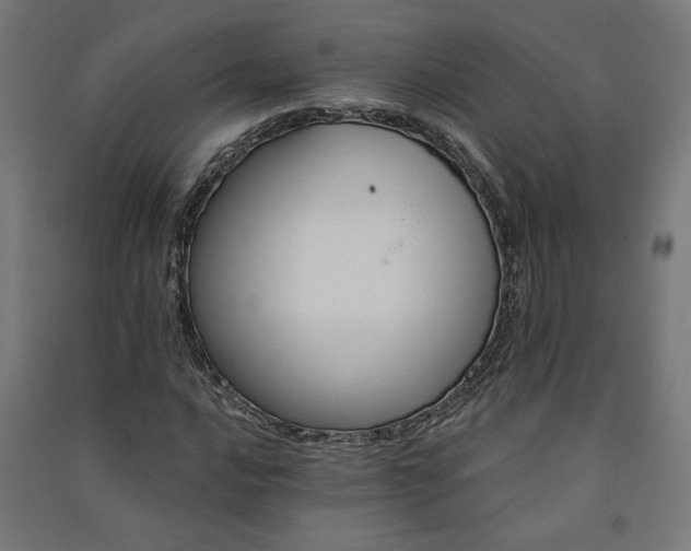 X0000091581016200708201203