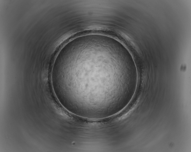 X0000091581017200708201203