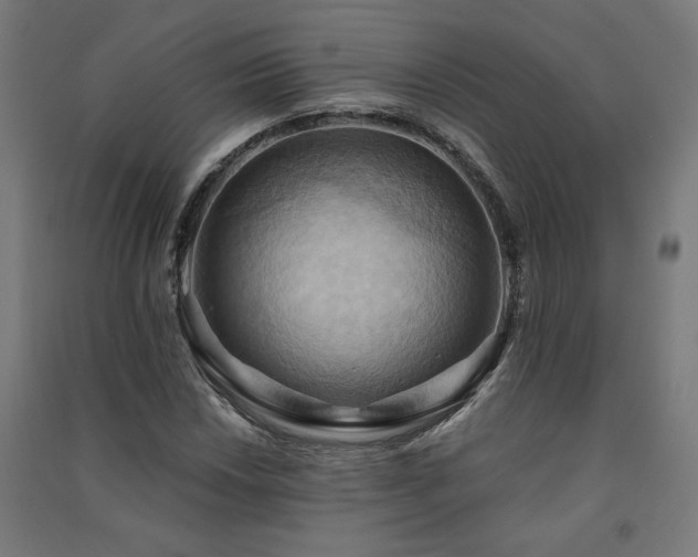 X0000091581018200708201203