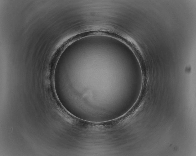 X0000091581019200708201203