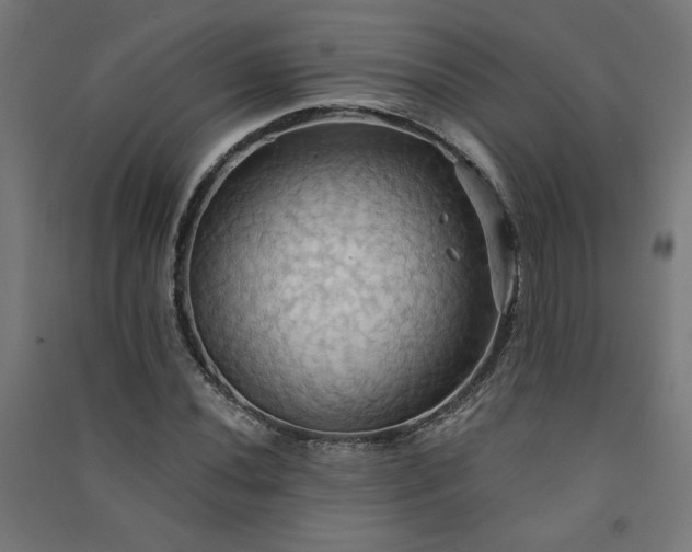 X0000091581020200708201203