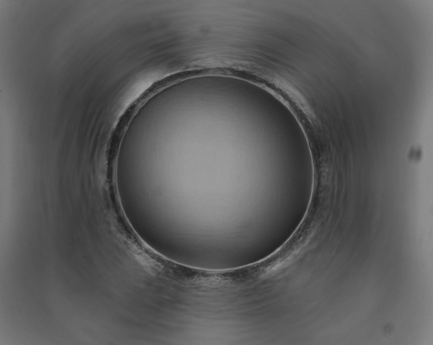 X0000091581023200708201203