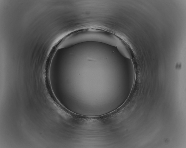 X0000091581024200708201203