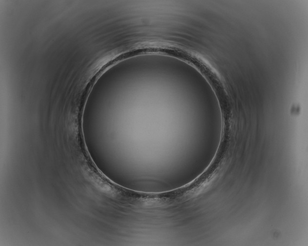 X0000091581025200708201203
