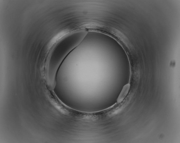 X0000091581026200708201203