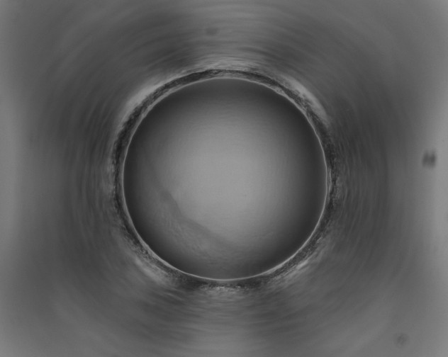 X0000091581027200708201203