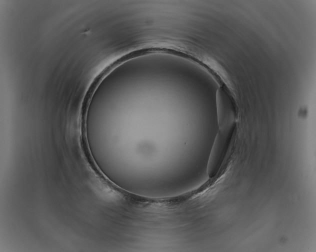 X0000091581028200708201203