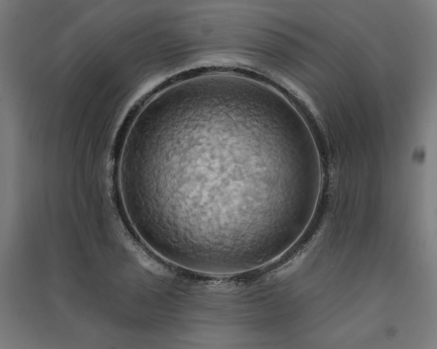X0000091581029200708201203
