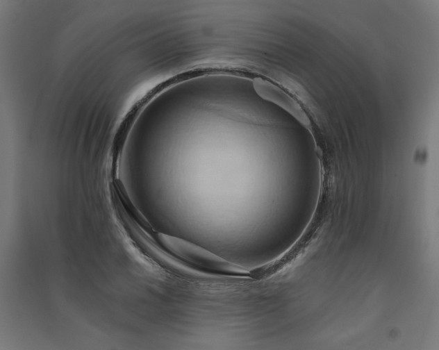 X0000091581030200708201203