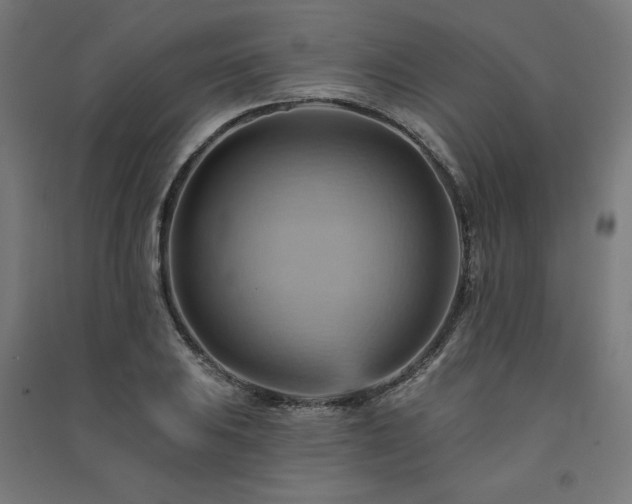 X0000091581031200708201203