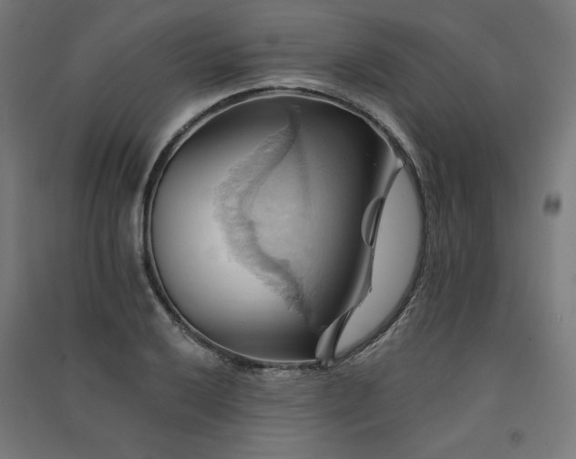 X0000091581032200708201203