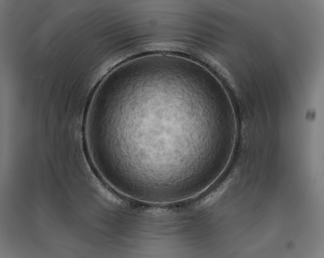 X0000091581033200708201203