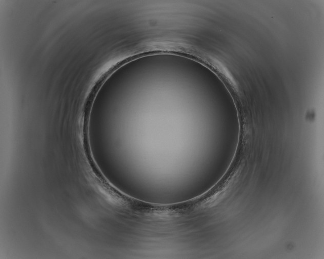 X0000091581035200708201203