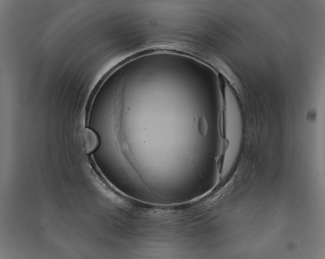 X0000091581036200708201203