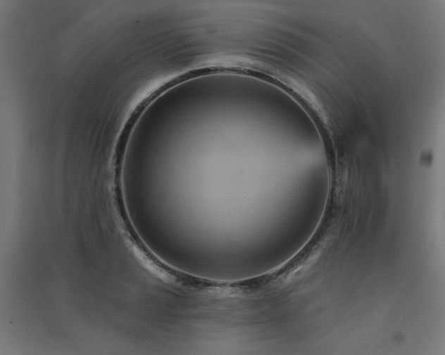 X0000091581037200708201203