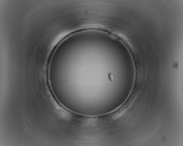 X0000091581038200708201203