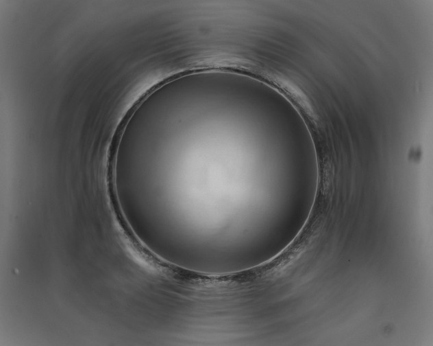 X0000091581039200708201203