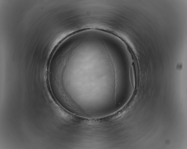 X0000091581040200708201203