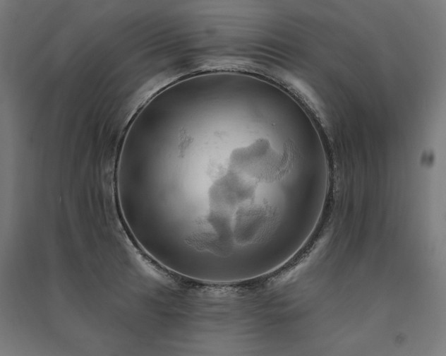 X0000091581041200708201203