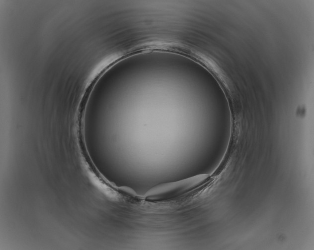 X0000091581042200708201203