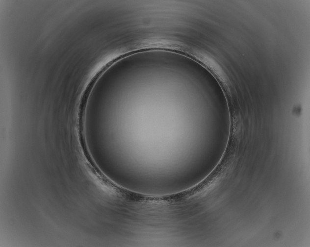 X0000091581043200708201203
