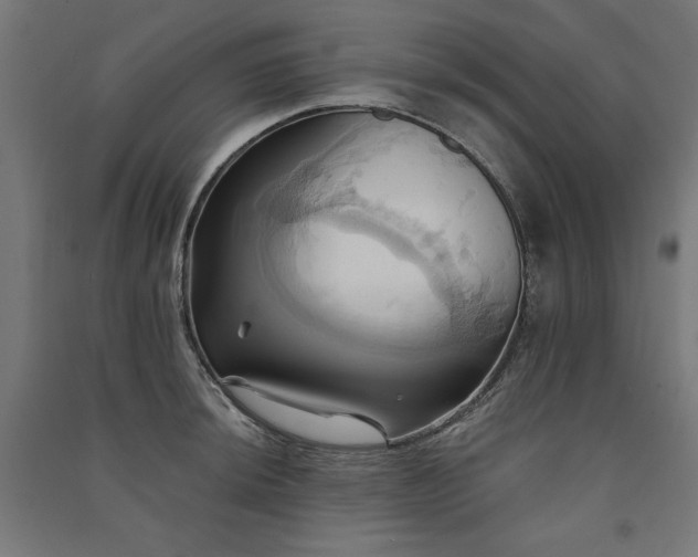 X0000091581044200708201203