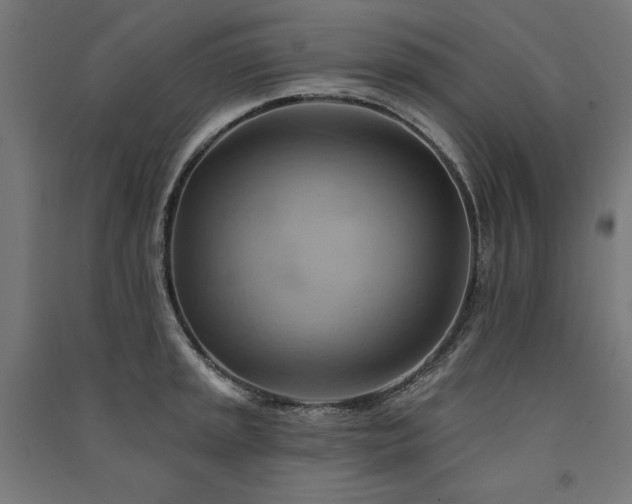 X0000091581045200708201203