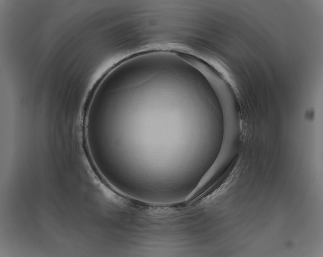X0000091581046200708201203