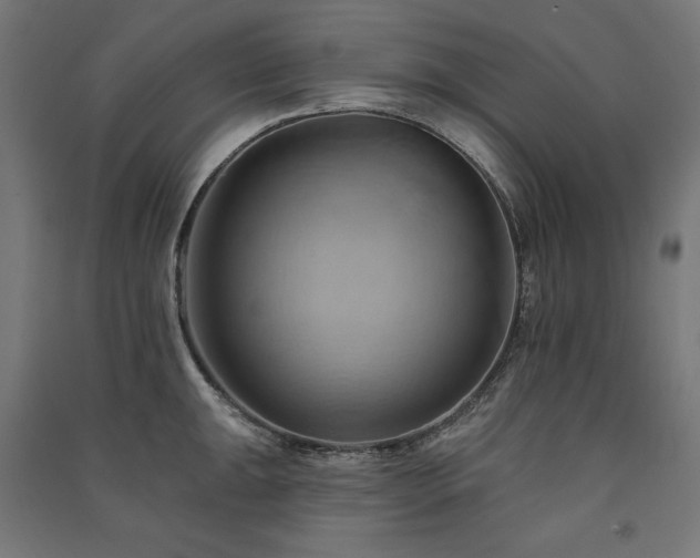 X0000091581047200708201203