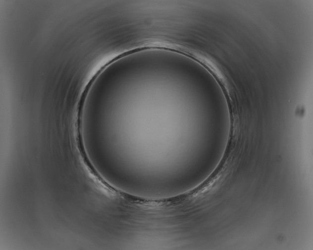 X0000091581048200708201203