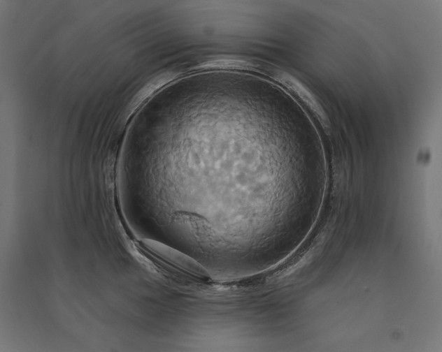X0000091581049200708201203