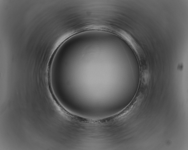 X0000091581050200708201203