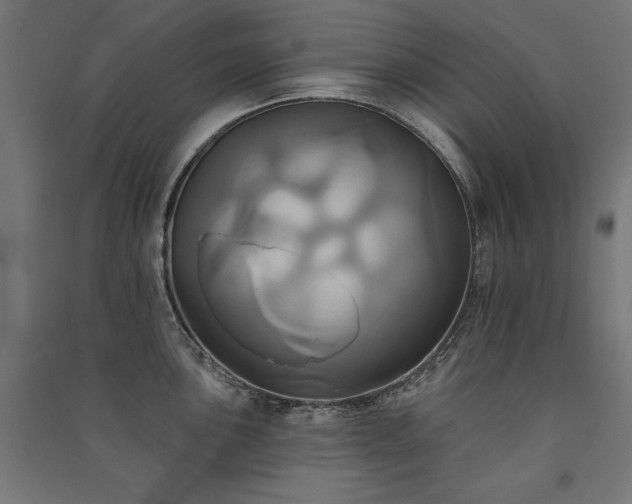 X0000091581051200708201203
