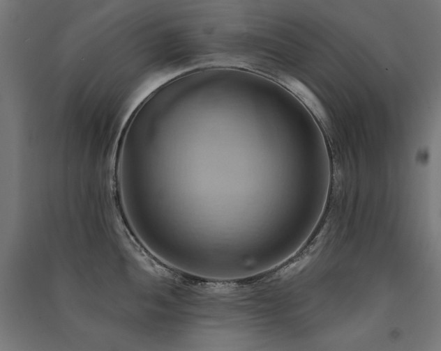 X0000091581052200708201203