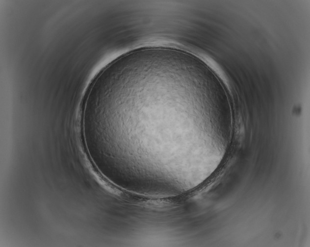 X0000091581053200708201203