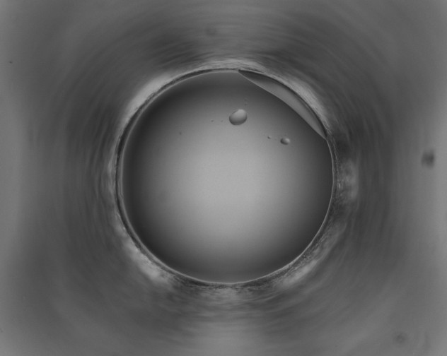 X0000091581054200708201203