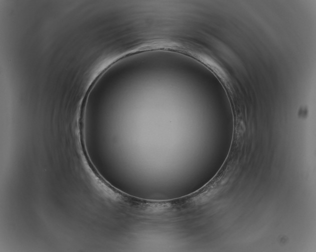 X0000091581055200708201203