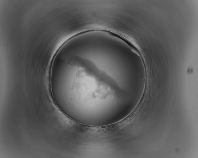 X0000091581056200708201203