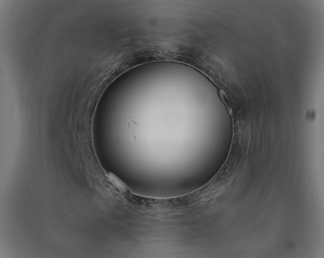 X0000091581057200708201203